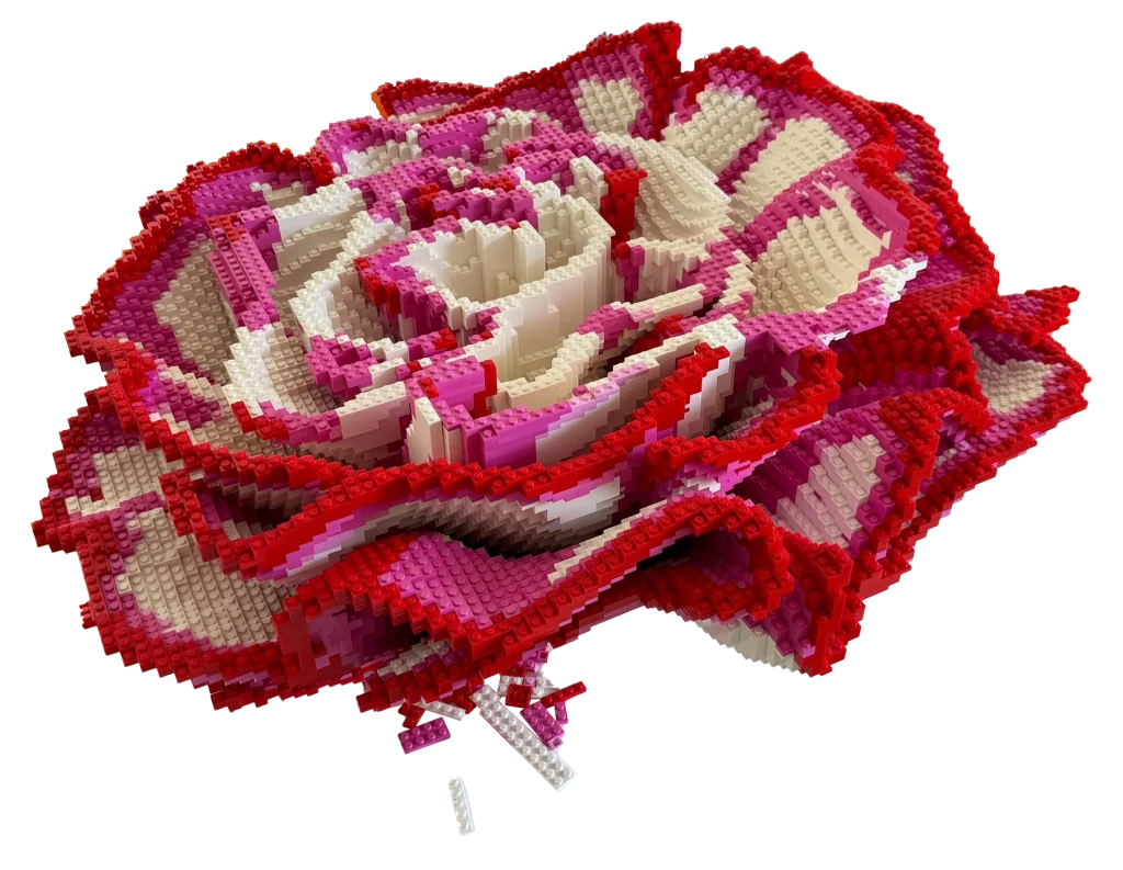 carnation copy